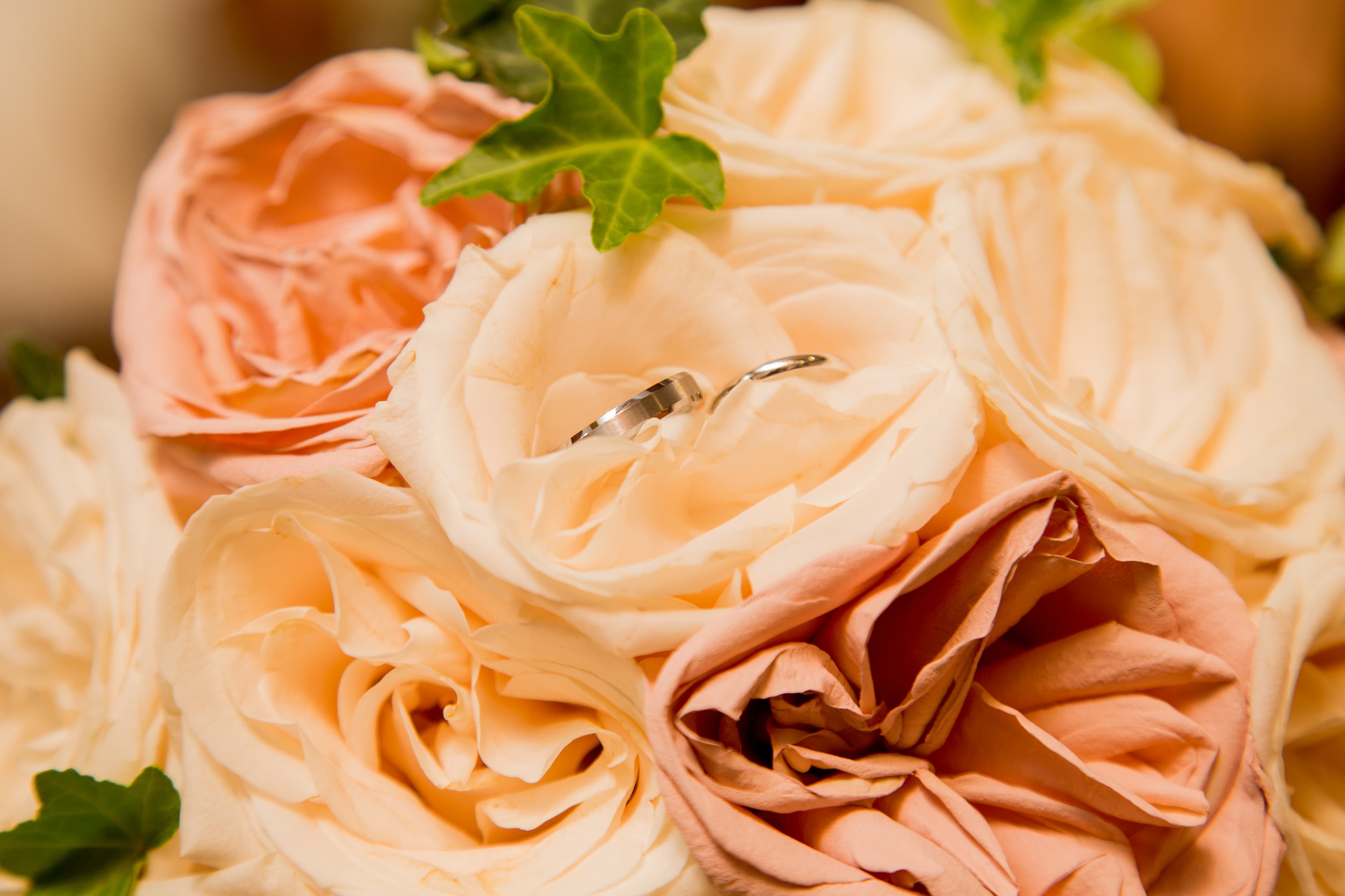 Bride and groom walking through a vineyard at dusk in golden Istrian light